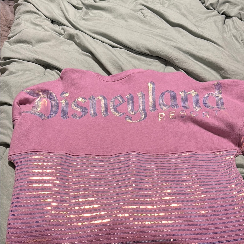 Pink and Iridescent Striped Sweatshirt
